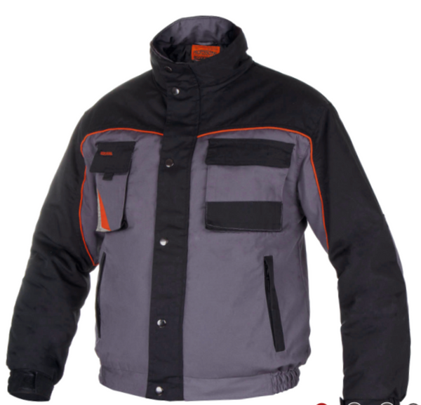 PROFESSIONAL OC Short Winter Jacket / Gray